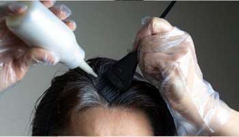 Homemade Hair Dye: ఇంట్లోనే ఎటువంటి సైడ్ ఎఫెక్ట్స్ లేకుండా తెల్ల జుట్టుని నల్ల జుట్టుగా మార్చుకోండి ఇలా..