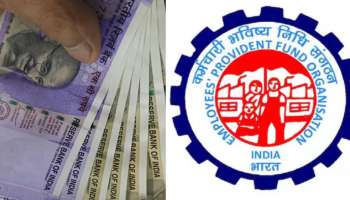 EPFO: పీఎఫ్ ఖాతాలో ఈ డేంజర్ సిగ్నల్ మిస్ అయితే నష్టం ఖాయం!