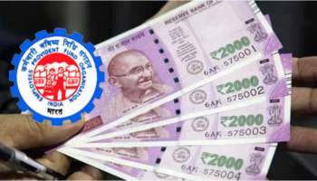 EPFO Interest: ఉద్యోగం మానేసినా.. పీఎఫ్ డబ్బుకు వడ్డీ జమ అవుతుందా? రూల్స్ ఏం చెబుతున్నాయ్..!! 