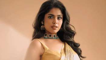 Faria Abdullah: ప్రముఖ కొరియోగ్రాఫర్‌తో ఫరియా అబ్దుల్లా పెళ్లి.. ఎప్పుడంటే..!