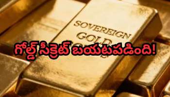 Gold Scheme Returns: 302% రిటర్న్…గోల్డ్ బాండ్ స్కీమ్‌తో జాక్‌పాట్.. పెట్టుబడిదారులకు పండగ!