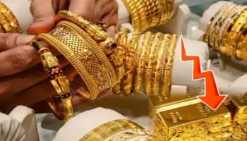 Gold Rate: పసిడి ప్రియులకు బిగ్ న్యూస్.. జులై నెలలోనే తులం బంగారం రూ. 50వేలకు తగ్గే ఛాన్స్..!!