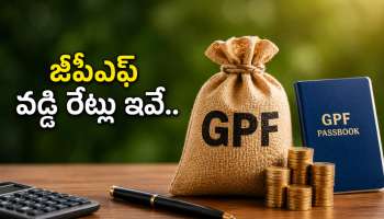 GPF Interest Rate: ఉద్యోగులకు అలర్ట్.. GPF వడ్డీ రేట్లు పెరిగాయా? ఏప్రిల్ నుంచి అమల్లోకి వచ్చే కొత్త రేట్లు ఇవే.. చెక్ చేసుకోండి!