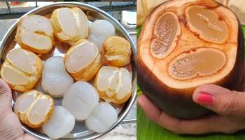 Ice Apple Benefits: సమ్మర్‌ స్పెషల్ తాటి ముంజలు.. ఈ వేసవిలో తింటే బోలెడన్నీ లాభాలు