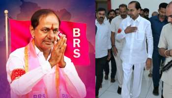 KCR Birthday: తెలంగాణ ఉన్నన్నాళ్లు కేసీఆర్‌ పేరు ఉంటుంది.. కేసీఆర్‌ గురించి టాప్‌ 5 విషయాలు