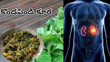 Kidney Health: కిడ్నీలో రాళ్లను కరిగించే.. పల్లెటూరి ఔషధం.. వండకుని తింటే కొండలు సైతం పిండి అవ్వాల్సిందే..!!