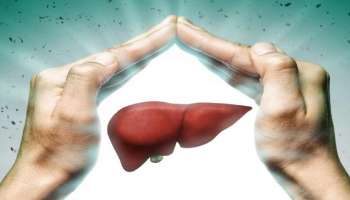 Healthy Liver: ఖరీదైన ట్రీట్మెంట్ అవసరం లేదు.. ఈ 5 నియమాలు చాలు!
