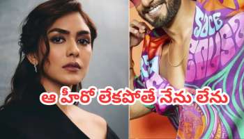 Mrunal Thakur: ఆ స్టార్ హీరో వల్లే సినిమా ఇండస్ట్రీలో ఉండగలిగాను అని చెప్పిన మృణాల్‌ ఠాకూర్..!