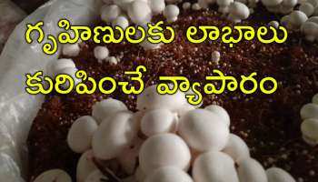 Best Business Plan: ఇంటి నుంచే వ్యాపారం.. మహిళలకు నెలకు రూ.80 వేలు ఆదాయం పక్కా!