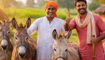 Central Govt Scheme : గాడిదలు పెంచితే రూ.50 లక్షలు.. మోదీ సర్కార్ అందిస్తున్న స్కీమ్‌ గురించి తెలుసుకోండి!