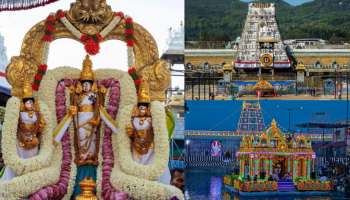 Tirumala:  కన్నుల పండగగా ప్రారంభమైన సాలకట్ల తెప్పొత్సవాలు... 25 కంపార్ట్ మెంట్స్ ఫుల్.. భక్తులకు టీటీడీ మరో అలర్ట్..