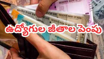 8th Pay Commission: 8వ పే కమిషన్ సంచలనం.. జీతాలు డబుల్ అయ్యే ఛాన్స్..!