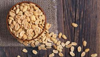 Peanut Nutrition: పల్లీలను ఇలా తింటే మీ హెల్త్‌కి చాలా డేంజర్.. ఎందుకంటే..? 