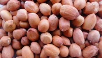 Peanut Nutrition: వేరుశనగలు ఇలా తింటే డేంజర్.. పొరపాటున కూడా ఈ తప్పులు అస్సలు చేయకండి..!