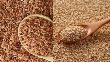 Quinoa vs Brown Rice: ఆరోగ్యానికి క్వినోవా మంచిదా..బ్రౌన్ రైస్ మంచిదా!