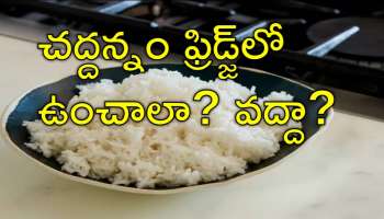 Fridge Tips: మిగిలిపోయిన అన్నం ఫ్రిజ్‌లో ఎంతసేపు పెట్టాలి? ఇది మీకు తెలుసా?