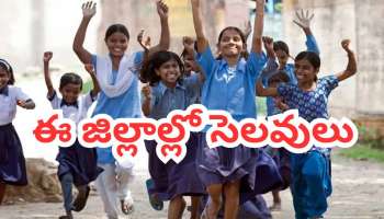 Holiday: ఏప్రిల్ 9, ఏప్రిల్ 23.. ఈ జిల్లాల్లో సెలవులు ప్రకటిస్తూ ప్రభుత్వం ఉత్తర్వులు జారీ.. కారణం ఏమిటంటే..!