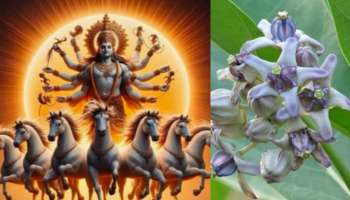 Ratha sapthami date 2026: రథ సప్తమి ఎప్పుడు..?.. విశిష్టత.?. జిల్లెడు ఆకుతో ఈ పరిహరం మీకు తెలుసా..?