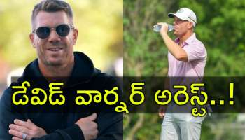 David Warner: మోతాదుకు మించి తాగిన సన్‌రైజర్స్‌ మాజీ ప్లేయర్.. తప్పతాగి దొరికిన క్రికెటర్‌ డేవిడ్‌ వార్నర్‌