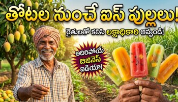Summer Business Ideas 2026: రైతుల చేయి పట్టుకోండి.. వేసవిలో లక్షాధికారి అవ్వండి..అదిరిపోయే సమ్మర్ బిజినెస్ ఐడియా ఇది..!!