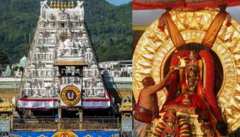 Ratha Saptami In Tirumala: రథసప్తమి రోజు మినీ బ్రహ్మోత్సవం.. భక్తులకు టీటీడీ  కీలక సూచనలు..