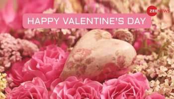 Happy Valentines Day: ప్రేమికుల కోసం ఆందమైన విషెస్, మెస్సేజెస్, గ్రీటింగ్స్ తెలుగులో టాప్ 10 love quotes