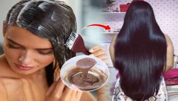 White Hair Tips: ఈ ఒక్కటీ కలిపితే తెల్ల జట్టు శాశ్వతంగా నిగనిగలాడే నలుపు రంగులోకి