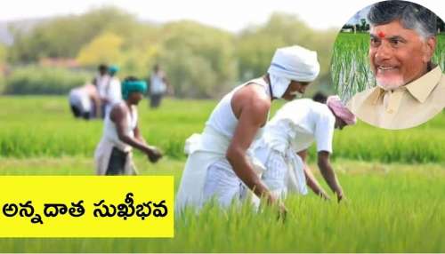 Annadhata Sukhibava: రైతులకు రాష్ట్ర ప్రభుత్వం శుభవార్త.. ఈ నెలలోనే అన్నదాత సుఖీభవ డబ్బు జమ!