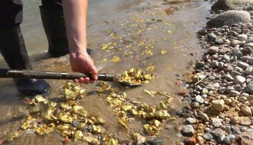 Gold Rivers in India: నదిలో పారుతున్న బంగారం..కుప్పలు తెప్పలుగా వచ్చిపడుతుంటే..ఎగబడుతున్న జనం!