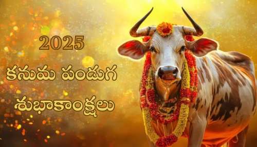 Happy Kanuma Wishes 2025:  మీ కుటుంబ సభ్యులకు, స్నేహితులకు తెలుగులో ఇలా.. 2025 కనుమ శుభాకాంక్షలు తెలపండి!