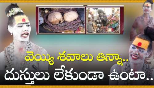  Lady Aghori Naga Sadhu: వెయ్యి శవాలు తిన్నా.. దుస్తులు లేకుండా ఉంటా.. కన్యతనం ఉన్నప్పుడే అలా చేయాలి!