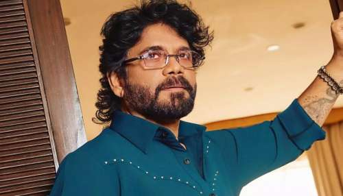 Nagarjuna: నాగార్జున చేతిలో మోసపోయిన స్టార్ హీరోయిన్.. ఛాన్స్ ఇస్తాను అంటూ హీరో మాటలు..!
