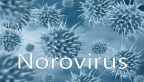 New China Virus: కొత్త చైనా వైరస్ కలకలం.. ఏకంగా 101మందికి పైగా విద్యార్థులకు సోకిన మహమ్మారి..!