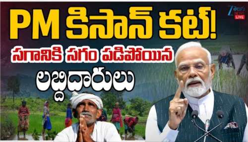 PM Kisan: పీఎం కిసాన్‌ కట్‌.. సగానికి సగం పడిపోయిన లబ్దిదారులు, మీ పేరు ఉందా?