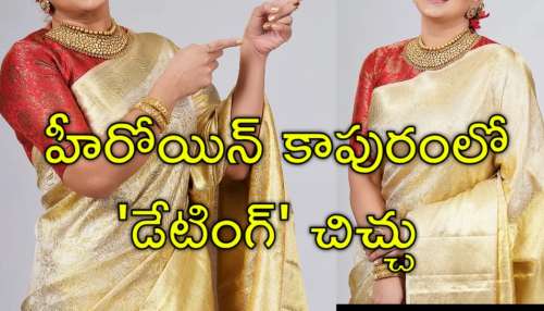 Star Heroine Divorce: మహేశ్‌ బాబు అత్త విడాకులు..? ఇన్‌స్టాగ్రామ్‌లో బయో మార్పు