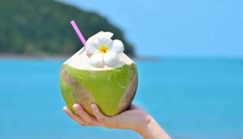 Coconut Water: వారం రోజుల పాటు కొబ్బరి నీళ్లు తాగితే మీ శరీరంలో జరిగే 5 మార్పులు ఇవే..!