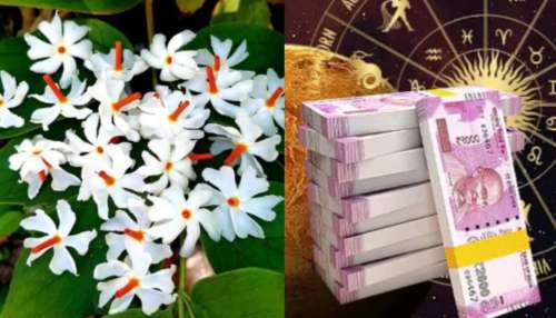 Parijat raj yoga: మరో రెండు రోజుల్లో అరుదైన పారి జాత రాజయోగం.. ఈ రాశులకు గోల్డెన్ డేస్, నూతన గృహ యోగం..