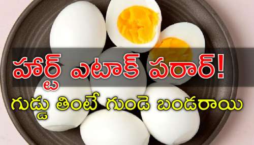 Eggs Daily: గుడ్డు ఆరోగ్యానికి వెరీగుడ్..! రోజుకు 2 గుడ్లు తింటే అద్భుతాలే