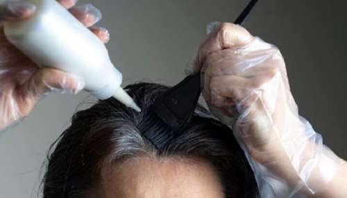 Natural Hair Dye: ఇంట్లోనే సహజంగా హెయిర్ కలర్.. ఈ రెండు పదార్థాలతో ఇక తెల్ల జుట్టు నల్లగా..!