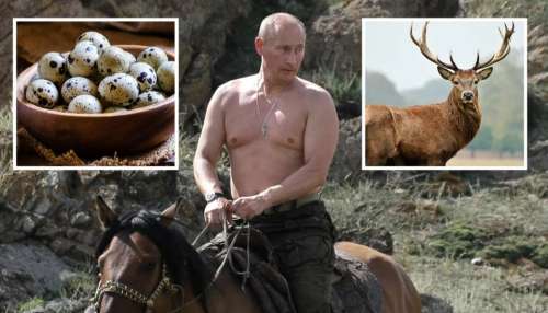Putin Diet Secret: 73 ఏళ్ల ప్లే బాయ్.. పుతిన్ డైట్ సీక్రెట్ ఇదే బ్రో..అది లేనిది ముద్ద దిగదట..!!