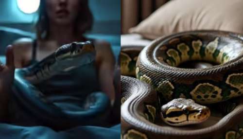 Viral news: గుండెలు గుభేల్.. నిద్రలో ఉన్న యువతి ఛాతీ మీద 8 అడుగుల భారీ కొండ చిలువ.. ఆ తర్వాత ..?..