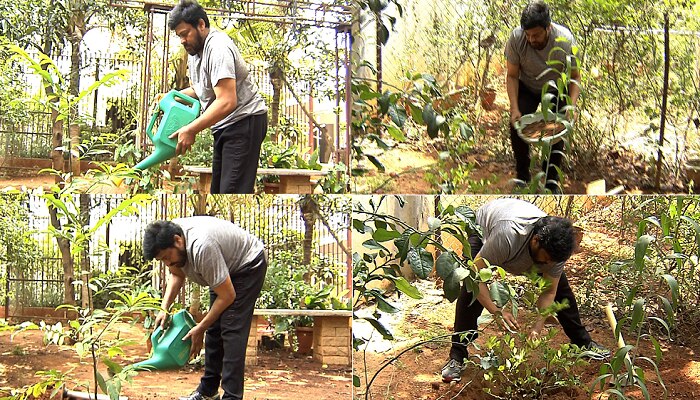 రామోజీరావుకి, జనసేనానికి ఛాలెంజ్ విసిరిన మెగాస్టార్ చిరంజీవి రామోజీరావుకి, జనసేనానికి ఛాలెంజ్ విసిరిన మెగాస్టార్ చిరంజీవి