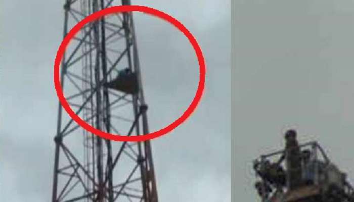 ఏపీకి స్పెషల్ స్టేటస్ కోసం సెల్ టవర్ ఎక్కిన యువకుడు ఏపీకి స్పెషల్ స్టేటస్ కోసం సెల్ టవర్ ఎక్కిన యువకుడు