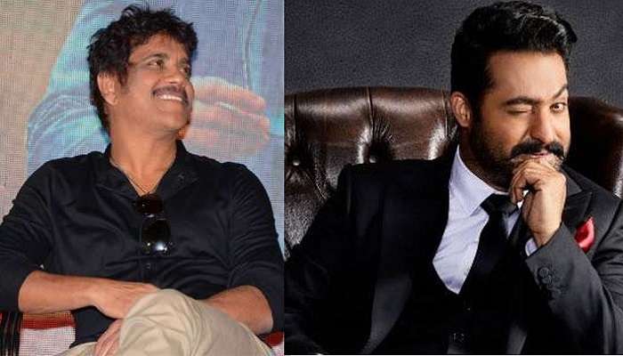 నాగార్జున బిగ్ బాస్ సీజన్ 3ని హోస్టింగ్ చేయబోతున్నాడా ? నాగార్జున బిగ్ బాస్ సీజన్ 3ని హోస్టింగ్ చేయబోతున్నాడా ?