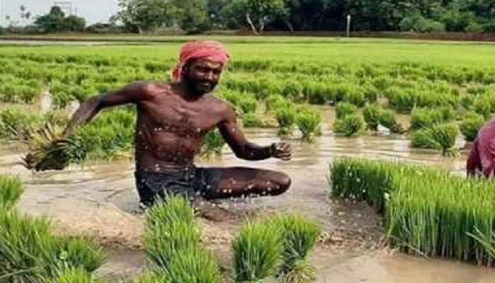 ఎన్నికల వేళ రైతులకు హ్యాపీ న్యూస్ ; నాల్గో విడత రుణమాఫీ నిధులు రిలీజ్ ఎన్నికల వేళ రైతులకు హ్యాపీ న్యూస్ ; నాల్గో విడత రుణమాఫీ నిధులు రిలీజ్