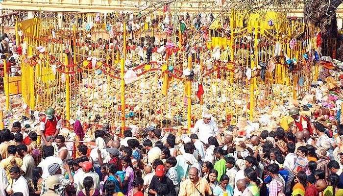 మేడారం జాతరకు తేదీలు ఇవే మేడారం జాతరకు తేదీలు ఇవే