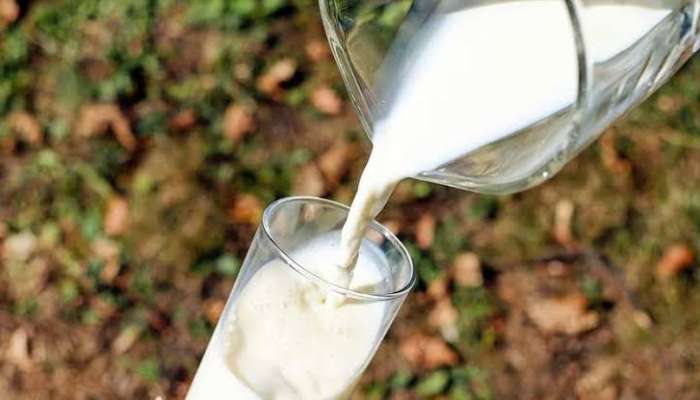 Vijaya milk prices | విజయ పాల ప్యాకెట్ల ధరల పెంపు