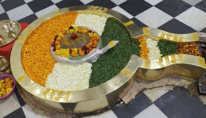Tricolor flowers offered to shiva linga in Uttarakhand : త్రివర్ణమైన సువర్ణ లింగం