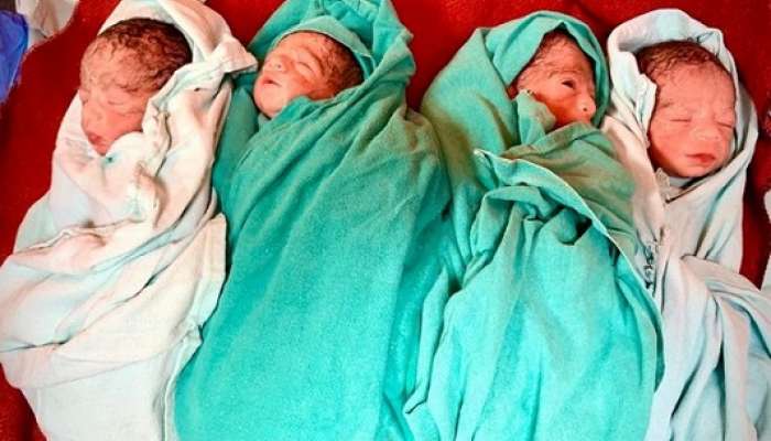 ఒకే కాన్పులో నలుగురు పిల్లలు ఒకే కాన్పులో నలుగురు పిల్లలు