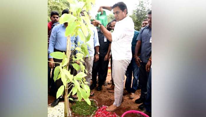 సీఎం కేసీఆర్ పుట్టిన రోజున పచ్చని చెట్టుకు ప్రాణం పోద్దాం సీఎం కేసీఆర్ పుట్టిన రోజున పచ్చని చెట్టుకు ప్రాణం పోద్దాం